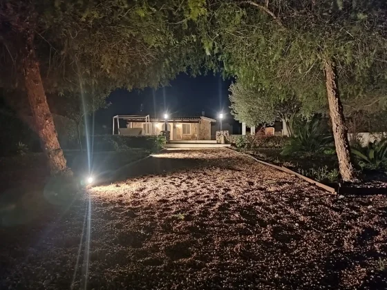 luz-jardin-noche luz-jardin-noche S.I.M