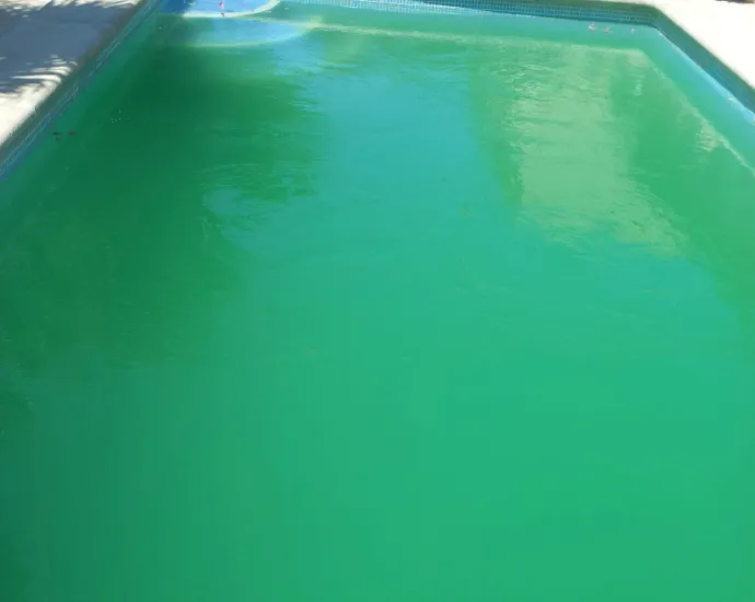 servicio-piscina-antes servicio-piscina-antes S.I.M
